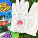 대신스카이빌(나이스골프) | 버디베어CC 왼손양피골프장갑 착용 후기