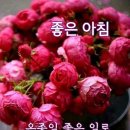 5월13일 고발뉴스 이미지