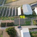 동서남북부동산공인중개사사무소 이미지