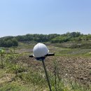 기린농장 이미지