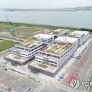 경기관상어 이미지