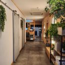 더훈 | 대전 월평동 훈참치 코스69000원 솔직후기 참치맛집