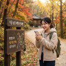 한도카센타 | 2026 하반기 반값여행 개인 10만원·청년 14만원 신청방법