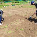 운중농장 이미지