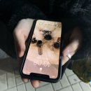 닭발인생 네이버블로그