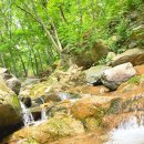 운수천 | 위치한 숲속 놀이터 백양산 체험형 웰빙숲길 방문 후기(faet.운수천 계곡에서 물놀이 + 물고기 잡기)