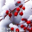 대성당구장 Daum카페