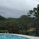 룰루 애견샵 | 충북 제천 애견동반 숙소 월악산유스호스텔 TYPE D 102호 2박3일 후기