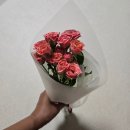 포텐코인노래연습장 곡반정점 | 소소한 생일기록 장미꽃 사랑의편지 하얀풍차케이크 좋아좋아