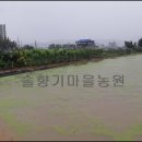 달천농장 이미지