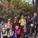 낙동제방길-1 이미지