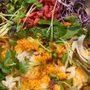 한성약품 이미지