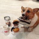 미스터멍 이미지