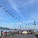 영순호 이미지