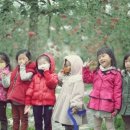 오각놀이공원 이미지