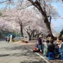 왕지로타리 이미지