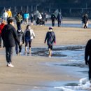 다대포해수욕장-해변가 이미지