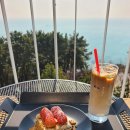 망고 애견 | 해운대 오션뷰 카페 모어라운지 애견동반 가능 모어망고플롯 후기