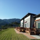 언덕나무펜션 이미지