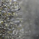 남촌도림동-17 이미지