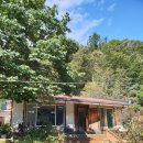 대추나무집 이미지