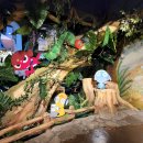 지금희야❕️ 이미지