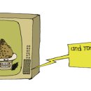 잘 못알고 있는 Diet 상식 13가지 이미지