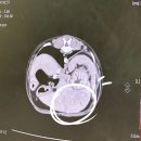 리본동물의료센터 이미지