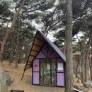 [국도21] 보령시 신대리 - 3775 | 보령디저트카페 보령파스타 맛집 소미안
