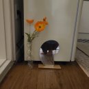 쉬담 | [서산] 서산여행, 숙소 하쉬담 에어비엔비 내돈내산 후기(링크포함)