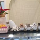 댕구상점 이미지