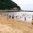 방죽포해수욕장(송림) 이미지