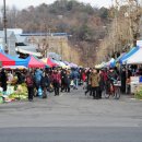 안산시시민시장 이미지