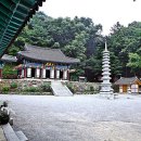 세븐일레븐 일산본점 이미지