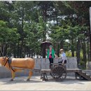 왕피천공원(동쪽) 이미지