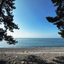 나로힐링캠핑장 이미지