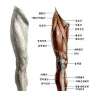 동인병원입구(버스정류장) | 스트레치뱅 과천점 1:1 전신 스트레칭 후기! 고관절·어깨까지 시원하게