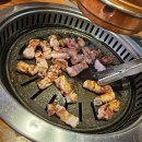 쇠똥구리 농장 | 2. 초록의 시작