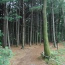 별천지공원 Daum카페