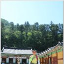 법인백담 Daum카페