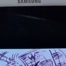 365미디어