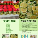 종철이네감귤