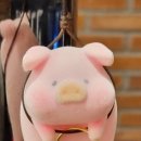 고기선생단계점 네이버블로그