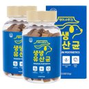 댕이네