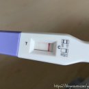 송도 봄약국 이미지