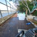 면목동-017 이미지