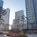 파랑새부동산중개사무소 이미지