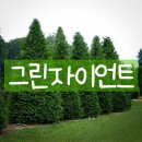 대성조경농원 이미지