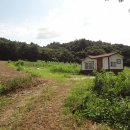 읍내리 - 우 이미지