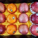 사계절청과 이미지